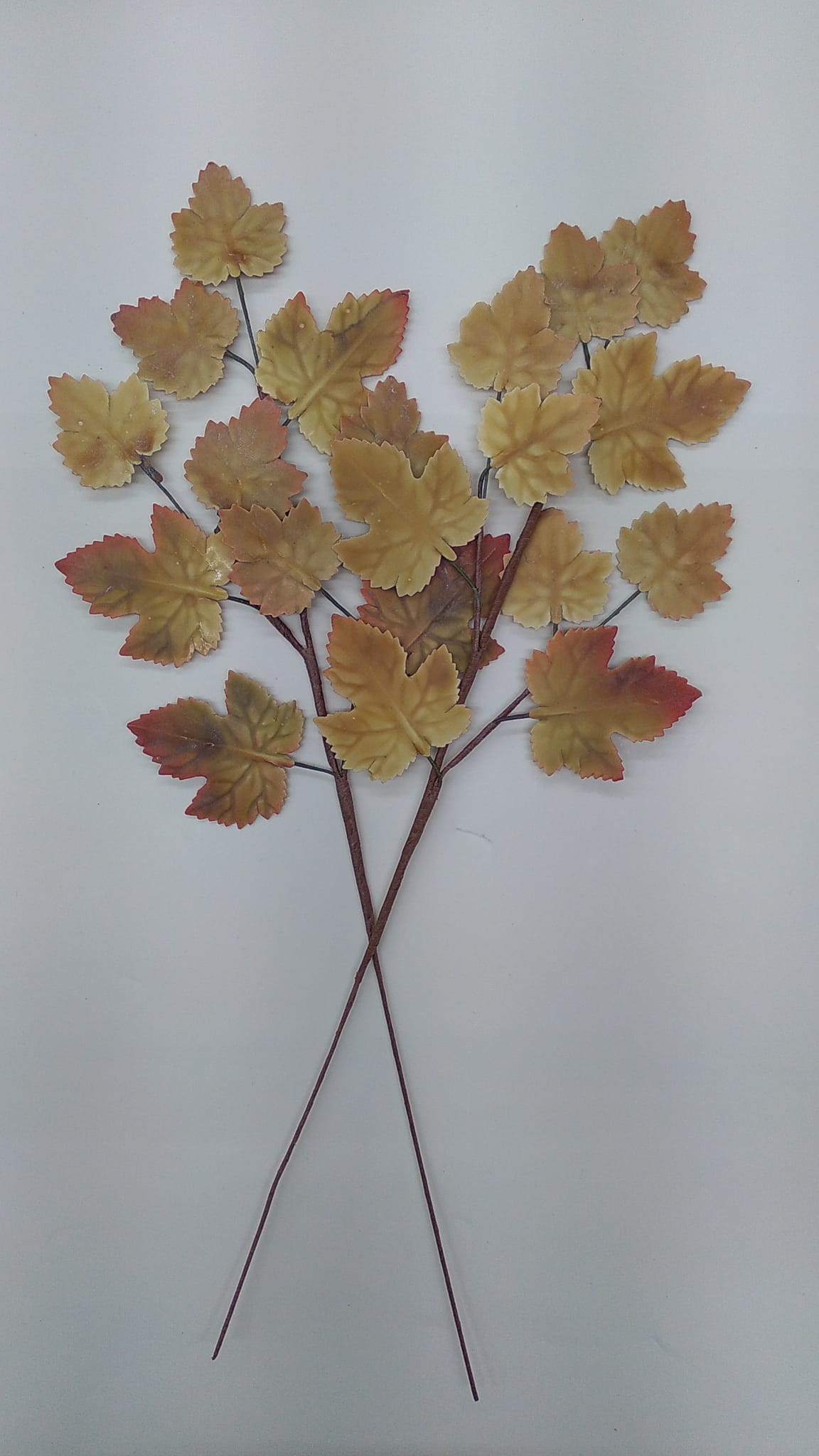 Autum leaves