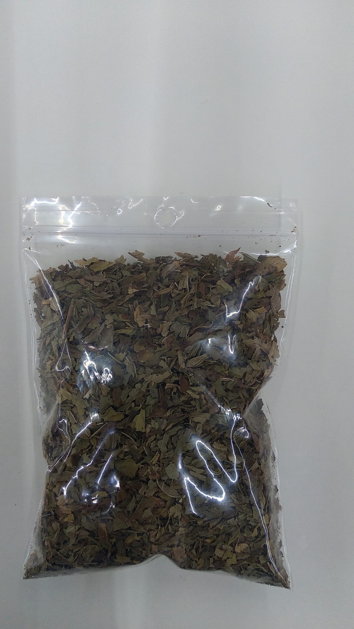 Menta