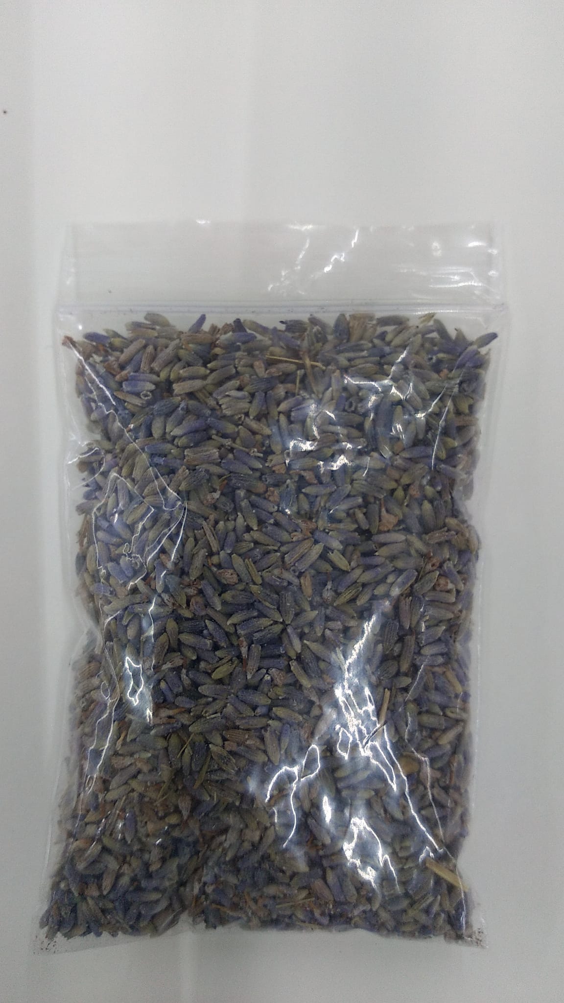 Lavanda