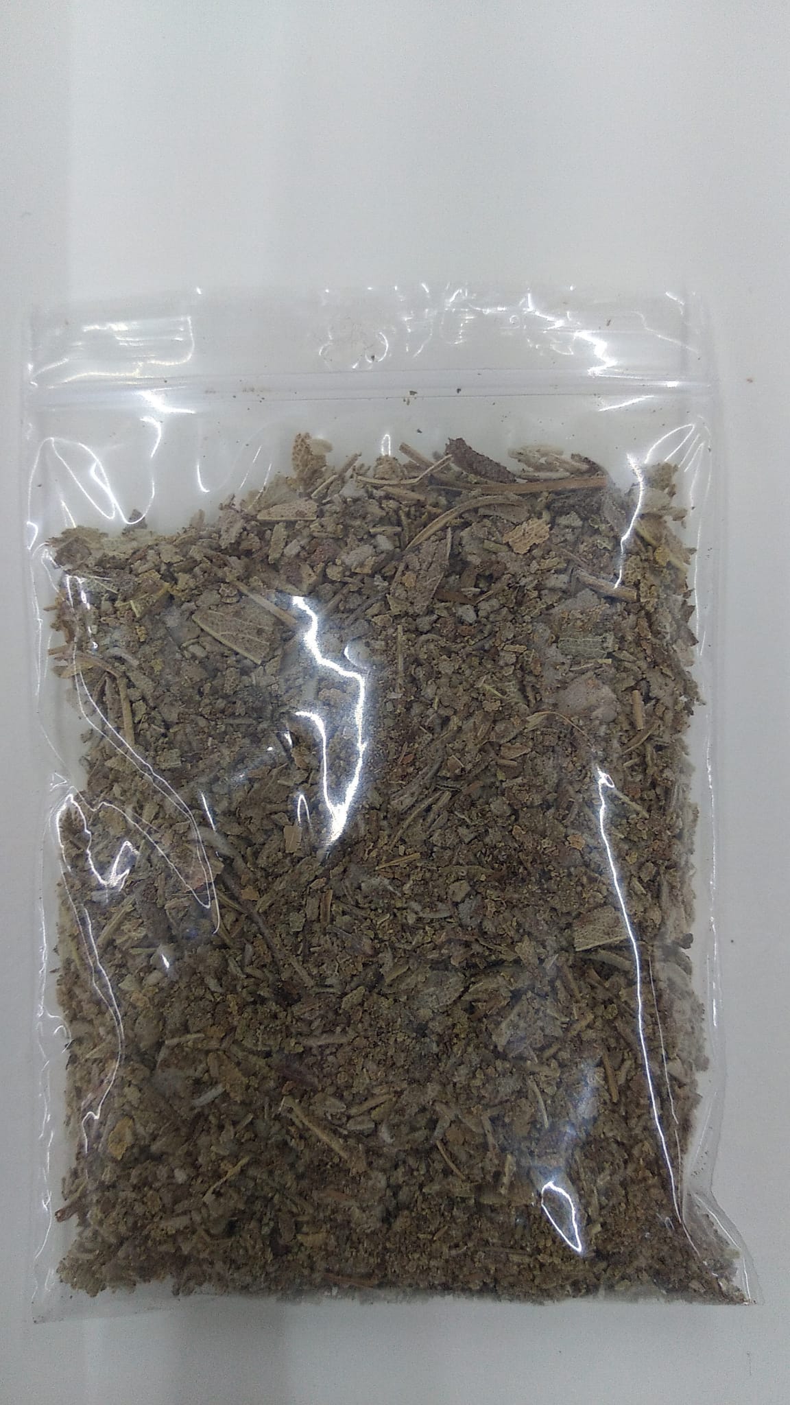 Salvia=Sage