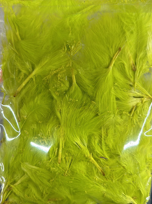 Neon Green Feathers